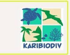 Lancement officiel de la plate-forme Karibiodiv : l’écocitoyenneté chez les enfants et les jeunes à travers le numérique